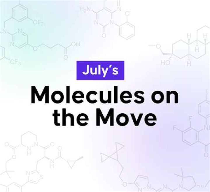 why do molecules move - Lisbd-net.com