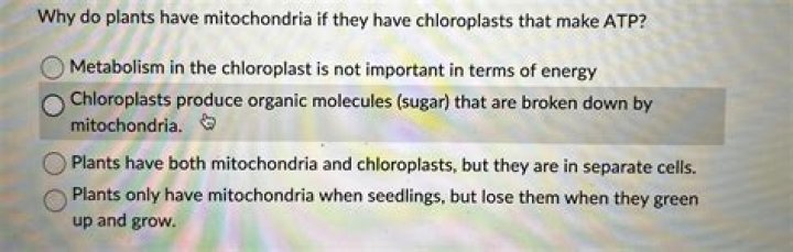 why do plants have mitochondria