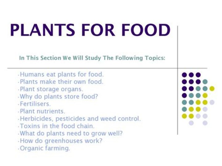 why do plants store food