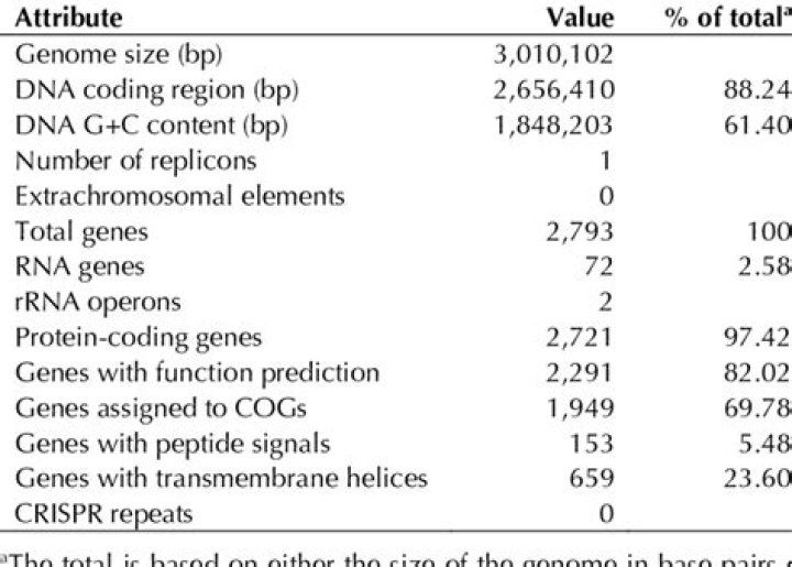 why do scientist use models