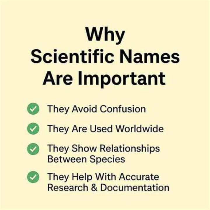 why do scientists use scientific names for organisms