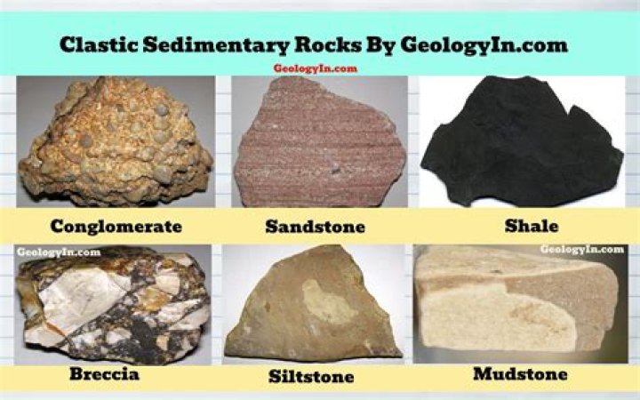 why do sedimentary rocks have fossils