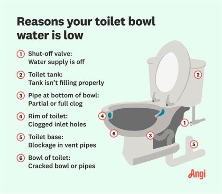 why do toilets in australia flush counterclockwise