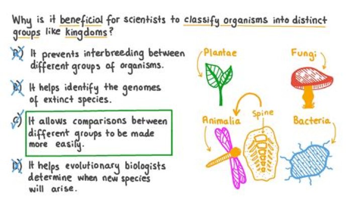 why do we classify organisms