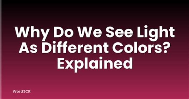why do we see light