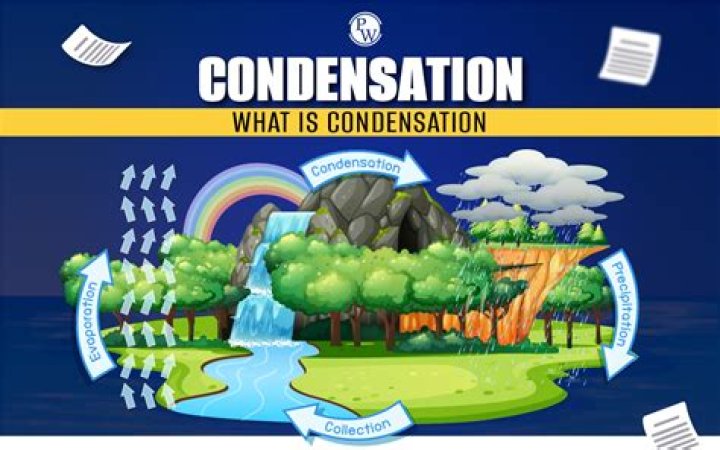 Why Does Condensation Form? - Lisbd-net.com