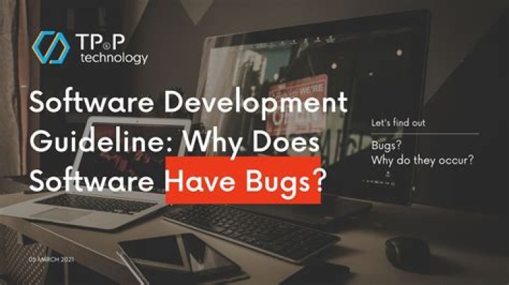 why does software have bugs