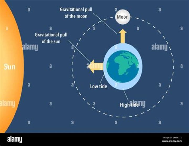 why does the moon have a greater effect on tides than the sun