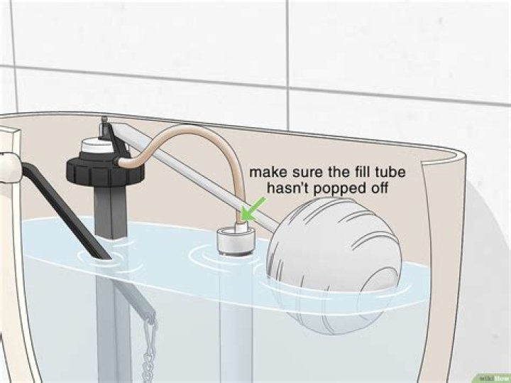 why don't fish fill up with water