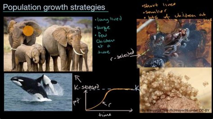 why don't populations of organisms grow indefinitely