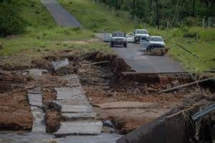 why is a clear cut more damaging to a community than a forest fire
