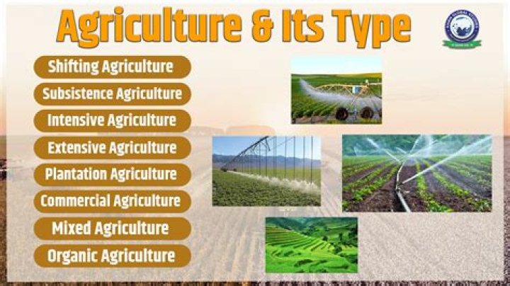 why is agriculture in grasslands more productive than agriculture in rainforests?