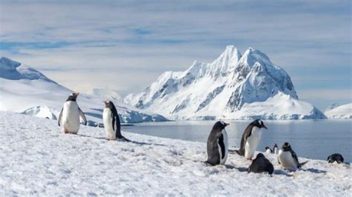 why is antarctica classified as a desert
