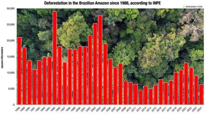 why is biodiversity highest in tropical rainforest