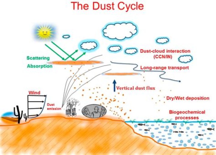why is dust important to the condensation sequence?
