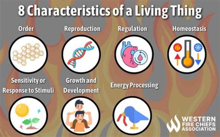 why is fire non living