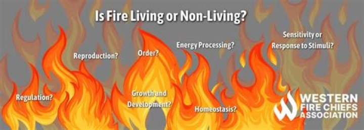 why is fire not alive