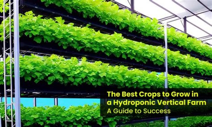 why is it difficult to grow crops in northern mexico?