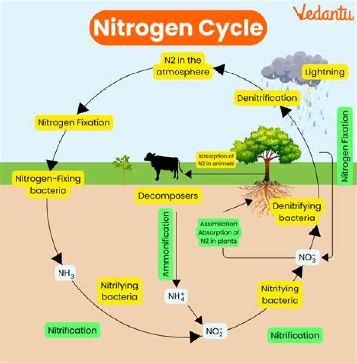 why is it difficult to pull nitrogen from the atmosphere into the nitrogen cycle of the biosphere?