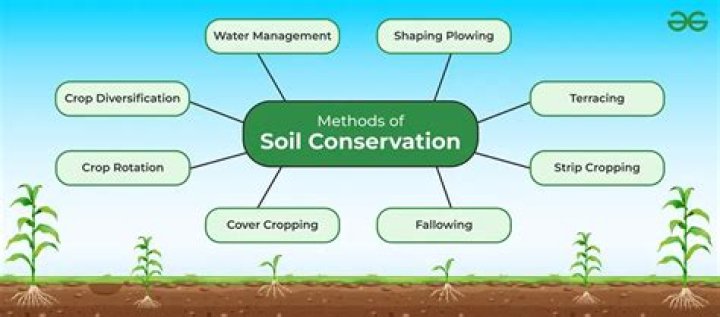 why is it important to conserve soil
