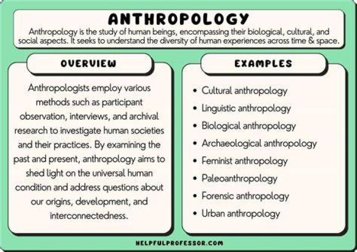 why is it important to study anthropology