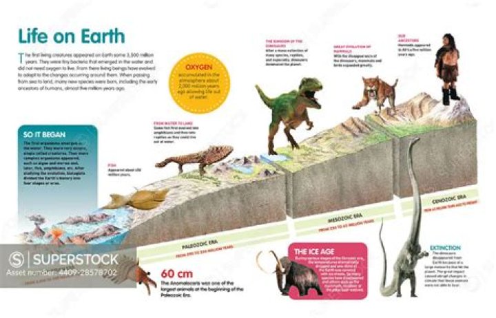 why is life on earth confined to such a narrow layer
