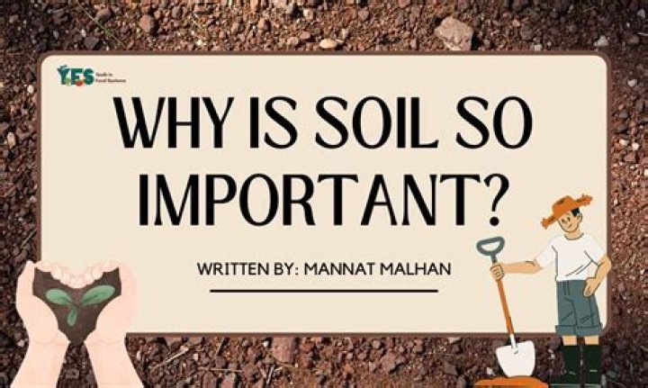 why is soil so important
