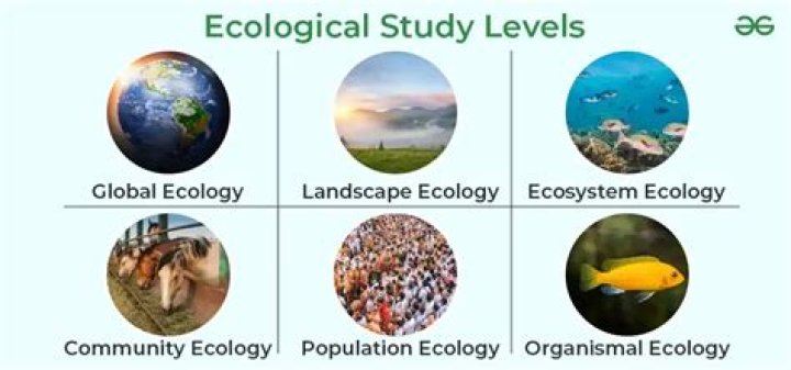 why is studying ecology important