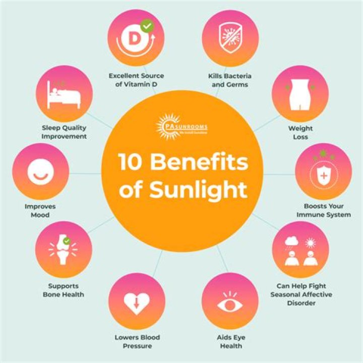 why is sunlight important to all aquatic ecosystems