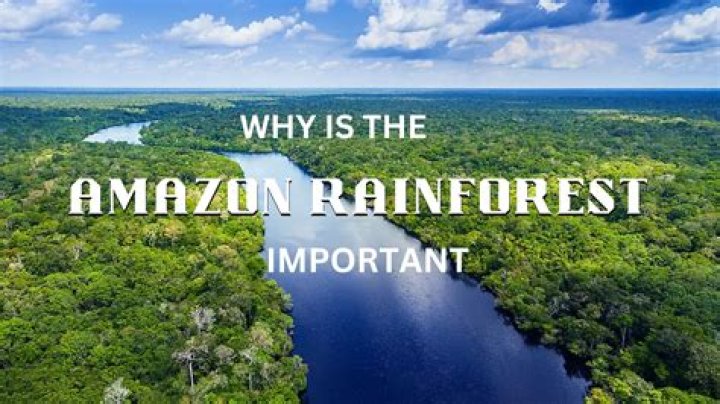 why is the amazon rainforest endangered