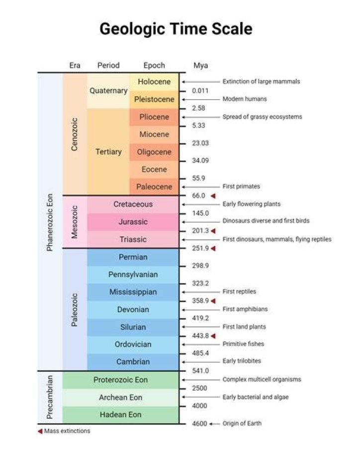 why is the geologic time scale more detailed in the phanerozoic than in previous eons?