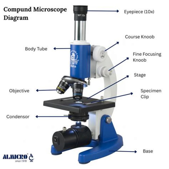 why is the light microscope also called the compound microscope