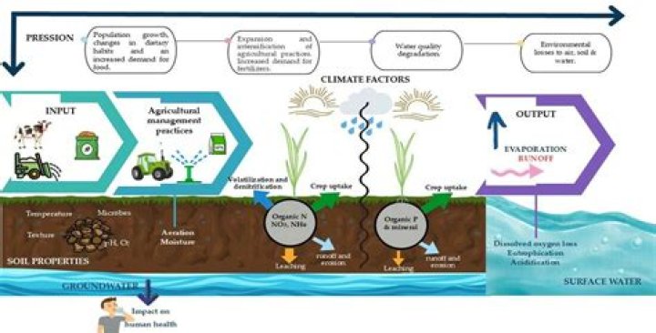 why is the runoff from fertilized agricultural fields