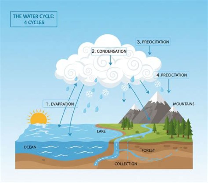 why is the water cycle important to the earth