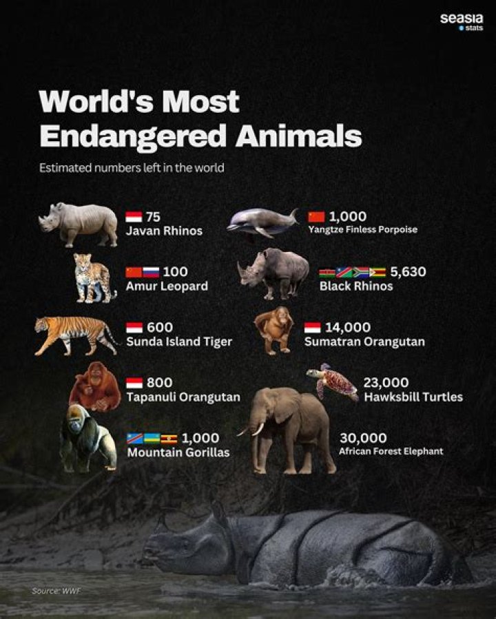 why is tiger an endangered species