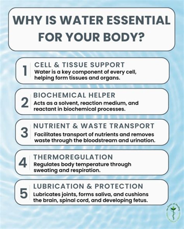 why is water essential to living things