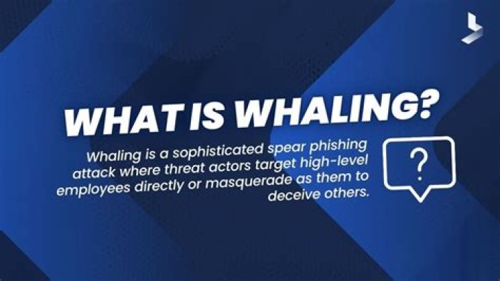 why is whaling good - Lisbd-net.com