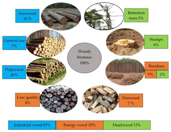 why is wood considered a renewable resource