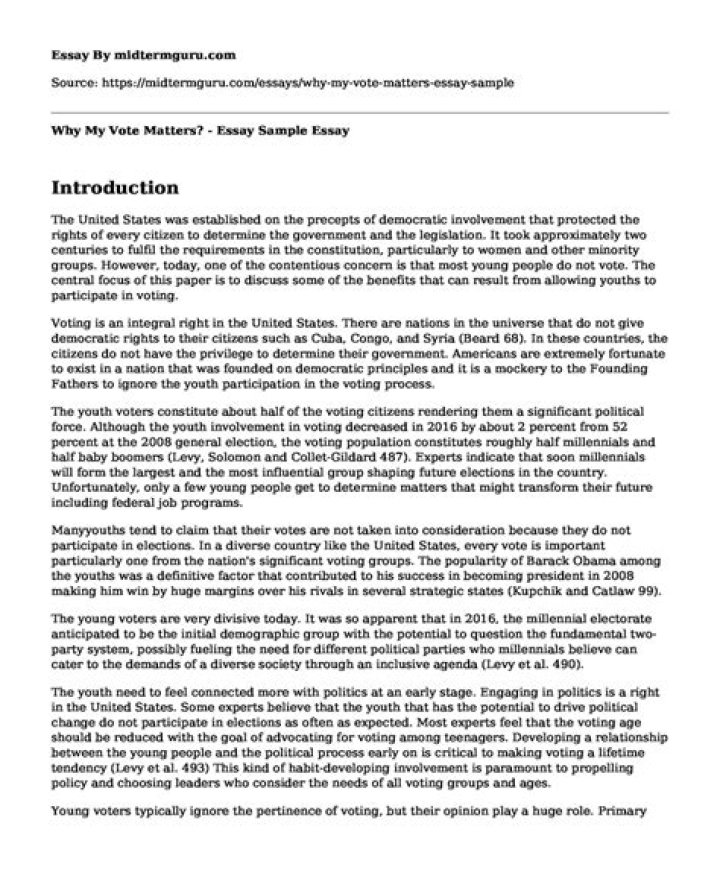 why my vote matters essay