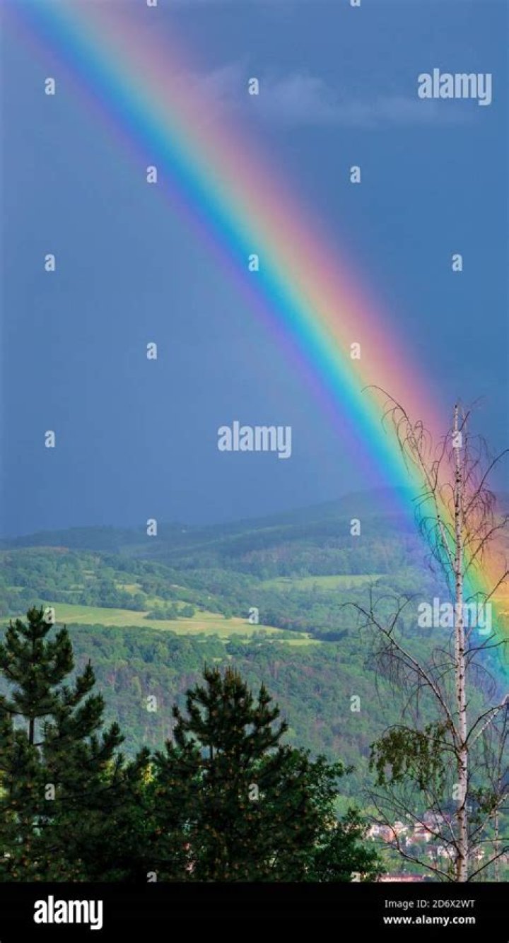 why rainbow appears after the rain
