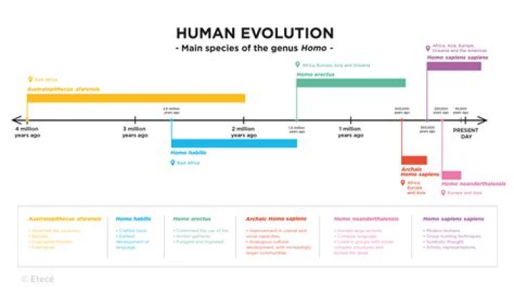 why was the broad-spectrum revolution a significant event in human evolution?