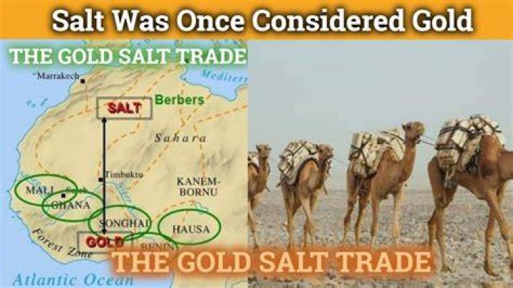 why was the gold salt trade important
