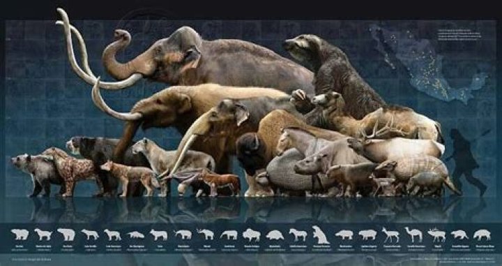 why were animals bigger in the past