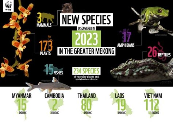 why were animals created - Lisbd-net.com