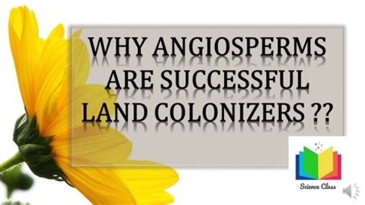 why would being an angiosperm be an adaptation on land